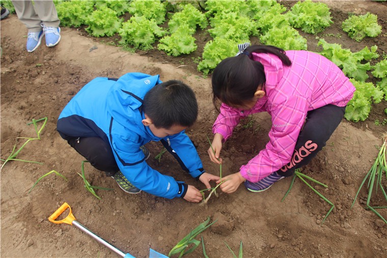 [懷北國(guó)際汽車營(yíng)地]-親子農(nóng)事二日活動(dòng)