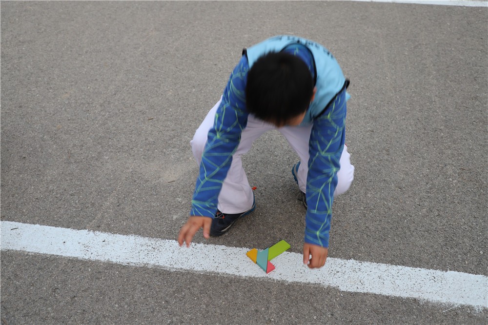 [天津海昌極地海洋公園]+ 一日拓展活動(dòng)