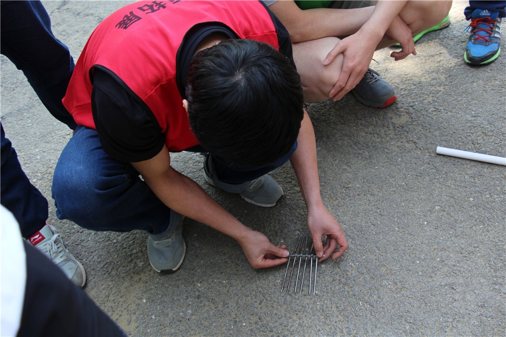 [壩上草原-神仙谷七彩森林公園]+場(chǎng)地拓展兩日活動(dòng)