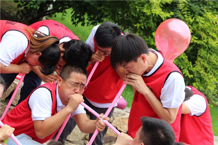 [上海長興島漁灣老碼頭]+輕松愉悅一日旅游團建活動