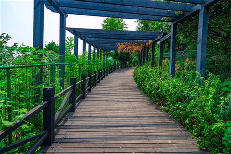 [蘇州樹山生態(tài)村拓展基地]+場(chǎng)地拓展活動(dòng)