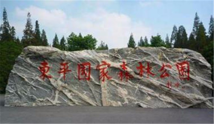 [崇明島東平國(guó)家森林公園]野外拓展-戶外穿越一日?qǐng)F(tuán)建活動(dòng)