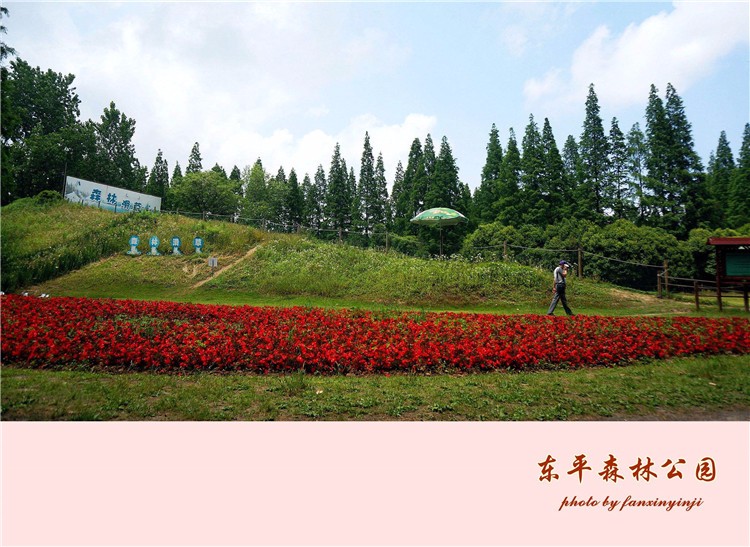 [崇明島東平國(guó)家森林公園]野外拓展-戶外穿越一日?qǐng)F(tuán)建活動(dòng)