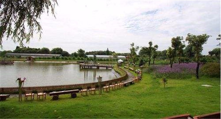 [上海太陽(yáng)島拓展基地]-團(tuán)隊(duì)凝聚力一日?qǐng)F(tuán)建