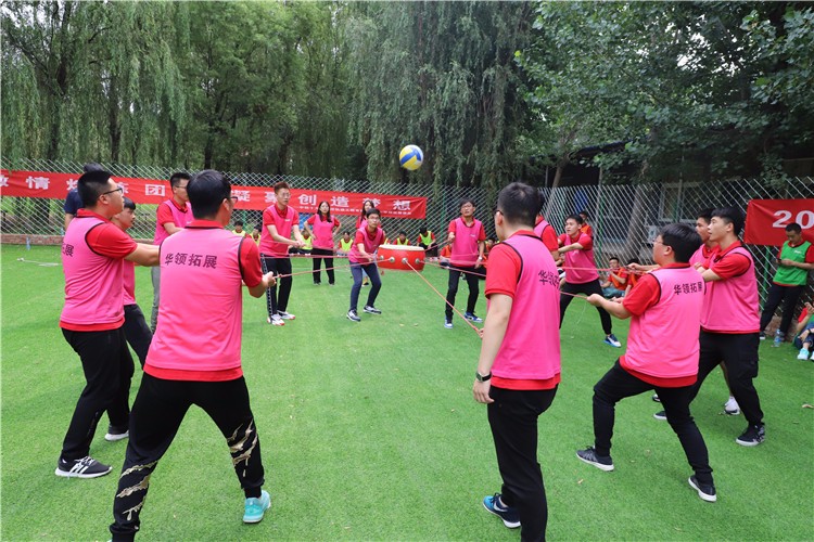 [上海崇明島森林公園]-野外徒步一日團建