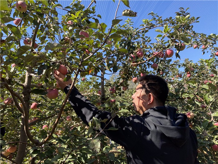 [雁棲湖環(huán)湖騎行]+蘋果采摘一日主題活動(dòng)