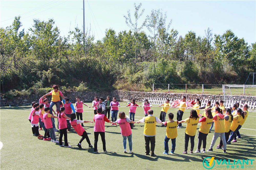 團(tuán)隊(duì)的力量